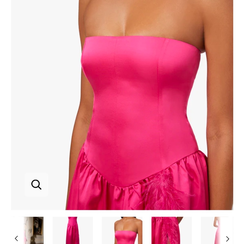 Weworewhat Corset Feathered Gown - Magenta (Size 6 but would fit a size 4) - Picture 3 of 4